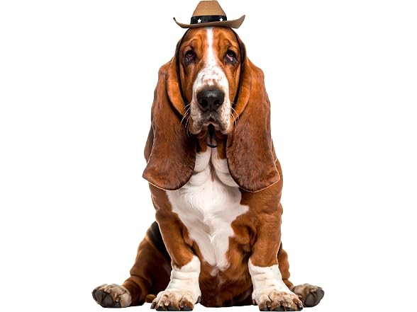 Rubies Cowboy Pet Hat for Dogs or Cats, M/L