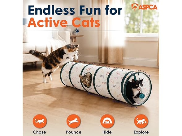 ASPCA Cat Tunnel with Rattle Toy