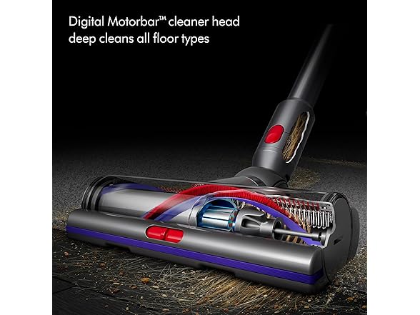 Dyson V15 Detect Pro