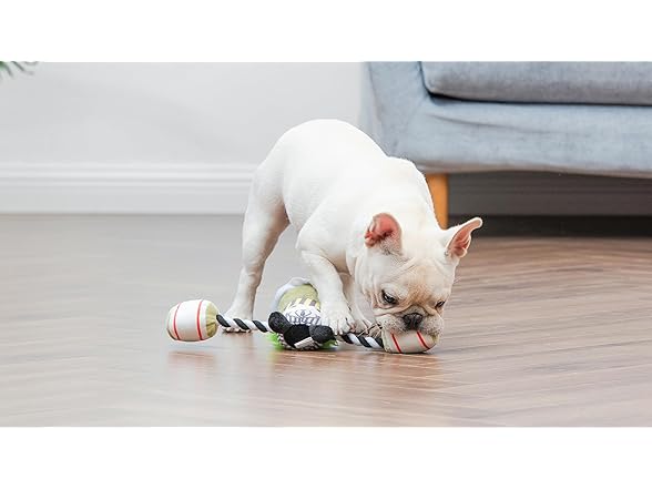 BEETLEJUICE Carnival Rope Plush Dog Toy