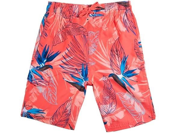 Kanu Surf Boys Toddler Boys Barracuda Quick Trunk