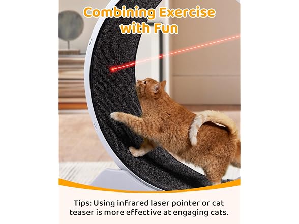 Outvita Cat Wheel, PP Plastic Cat Exercise Wh