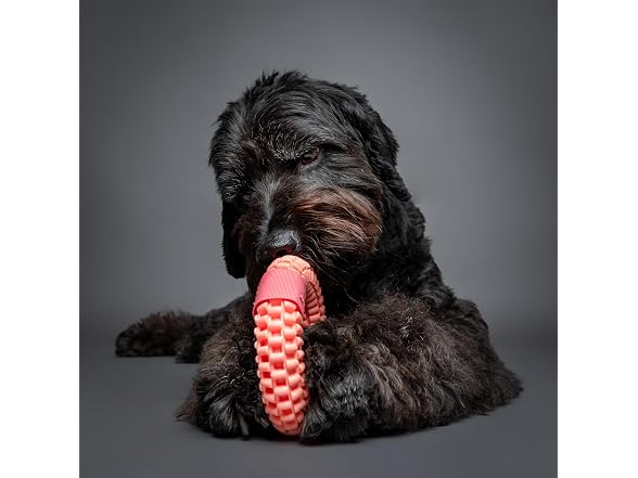 NOAH & PAW Luxury Dog Toy, TPU- Ring, Pink