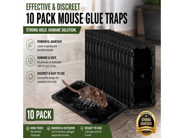 Hakol 10PK Large Glue Traps Rats, Mice, Snakes & Crawling Insects