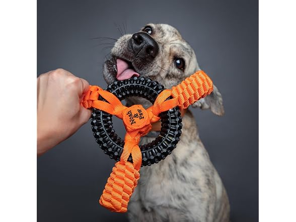 NOAH & PAW Luxury Dog Toy, TPU- Boat Wheel, Black