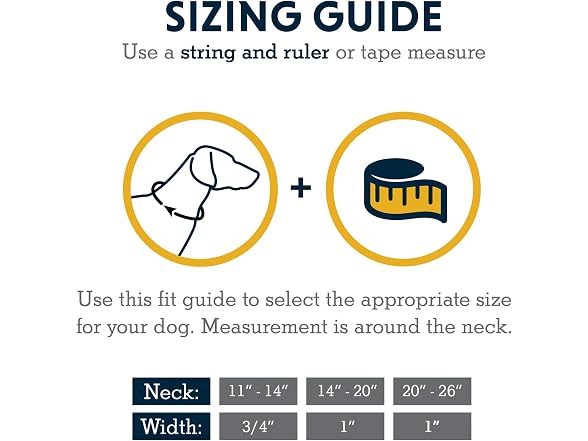 Ruffwear, Flat Out Dog Collar (Formerly Hoop
