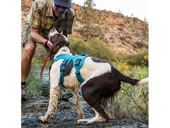 Ruffwear, Web Master, Multi-Use Support Dog Harness