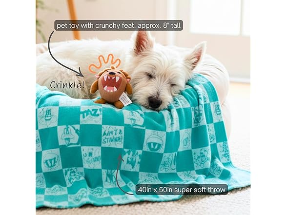 Looney Tunes Tasmanian Devil Pet Throw & Squeaky Pillow Set