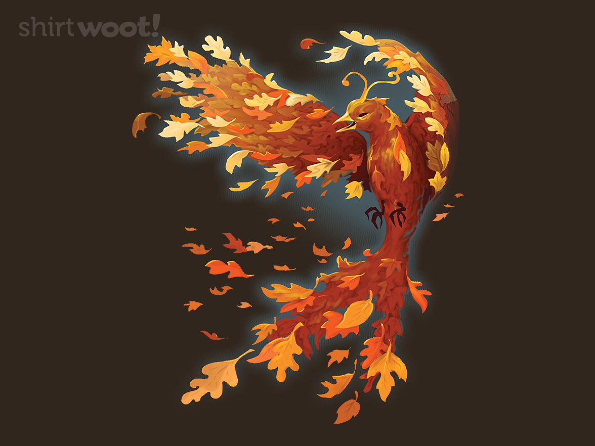 Fall Phoenix - Gallery 4