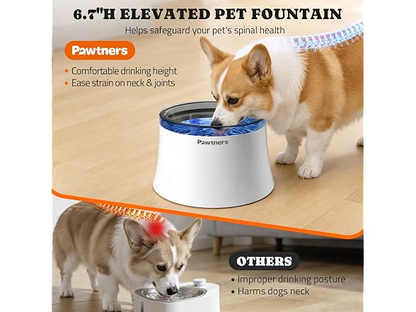 Pawtners 1 Gal/3.5L Dog Water Fountain