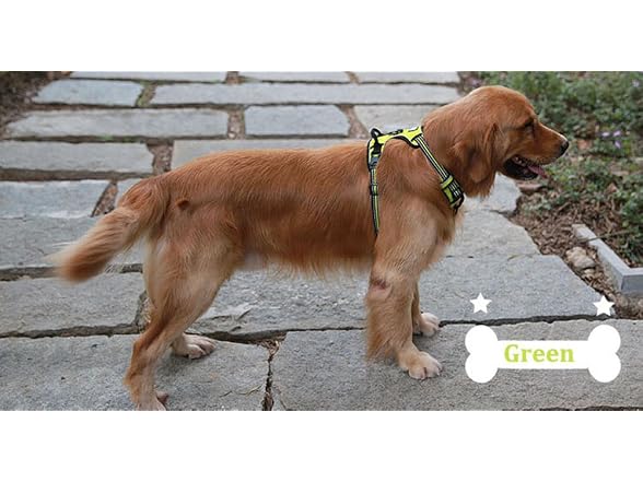 Chai's Choice Dog Harness Vest Small (Lemon Lime)