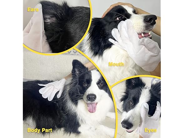 Dog Wipes Cleaning Gloves