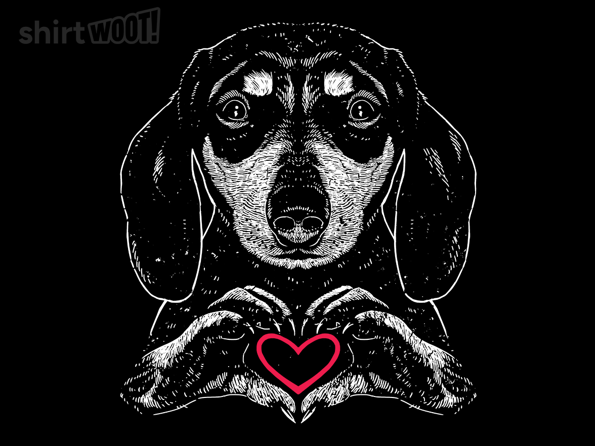 Dachshund Full of Love - Gallery 4