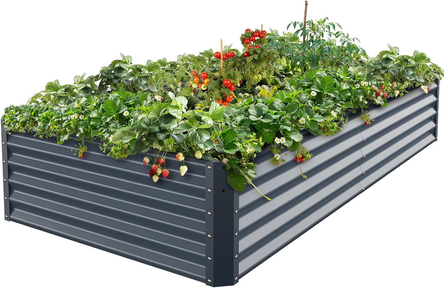 Savana Rectangular Raised Garden Beds - Gallery 9