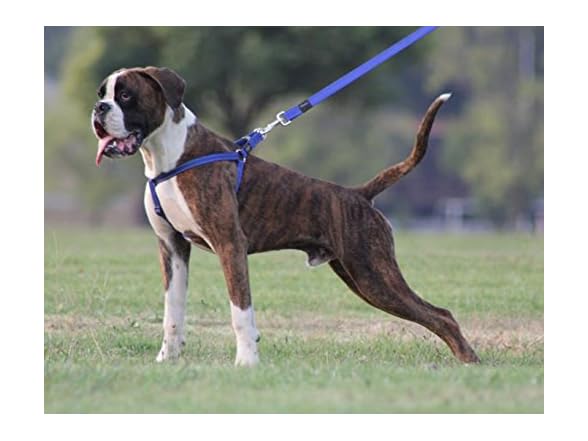 Reflective Adjustable Dog Step in Harness fo