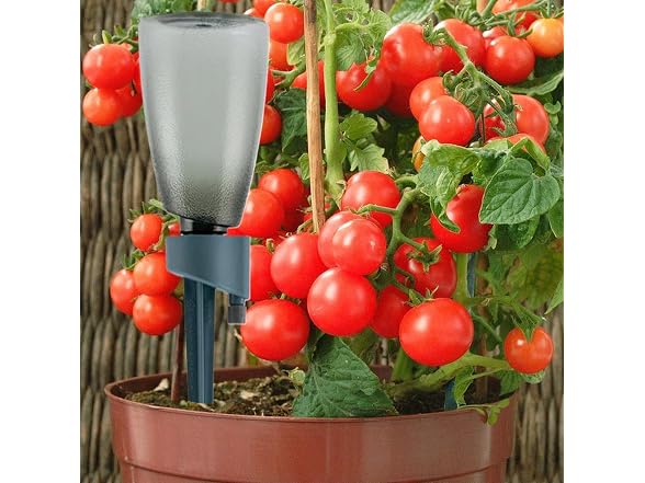 Generic GAR-81 Plant Watering Spikes, 6 Pieces