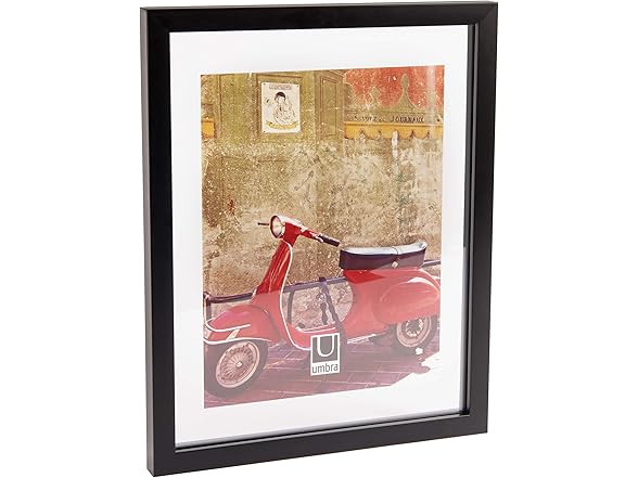 Umbra Umbra Document Frame - 11x14 Picture Fra
