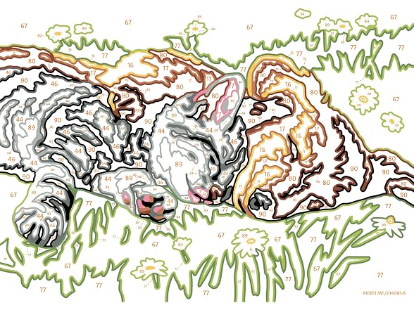 Ravensburger CreArt Sleeping Cat and Dog Paint
