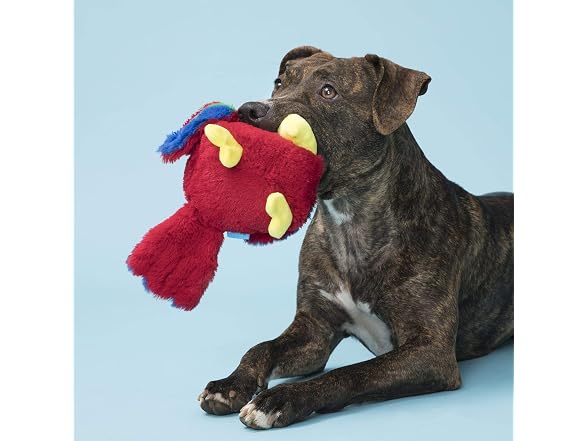 BARK Redbird The Parrot Dog Toy, Large