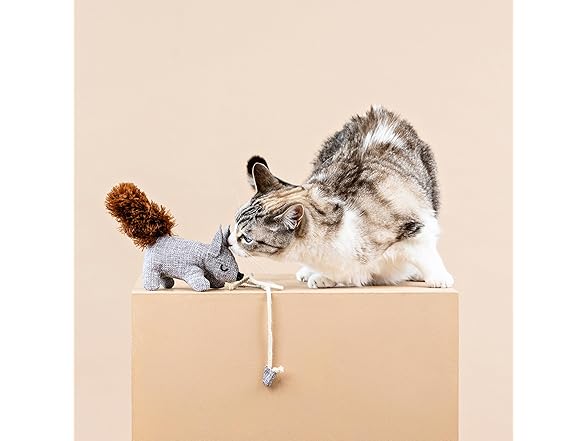 Fringe Studio ONE TUFF NUT Teaser Cat Toy