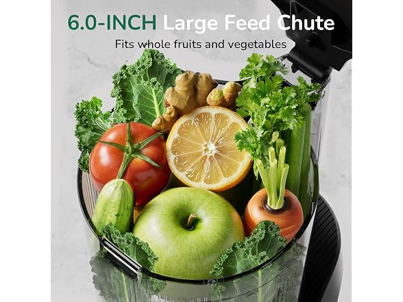 Canoly Cold Press Juicer 3 in 11