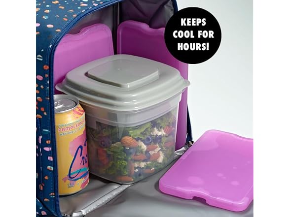 Cool Coolers Ice Packs 8pk Purple