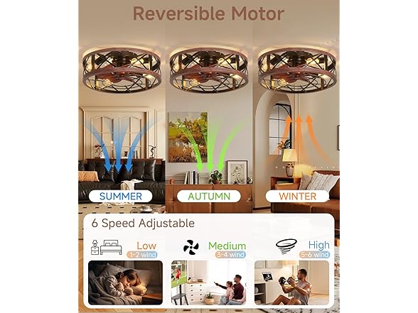 AQUBT Caged Ceiling Fan with Light | 19In