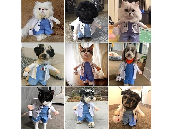 Dog Cat Doctor Costume, Funny Pet Doctor Hal
