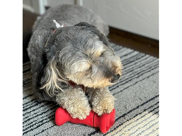 SPOT Bully Stick Treat Holder