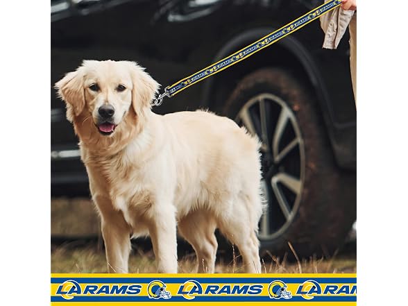 NFL PET Collar Los Angeles Rams Dog Collar, Med