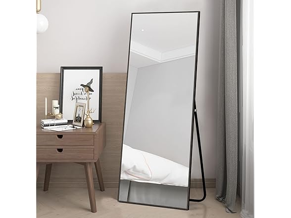 NeuType 55"x20" Full Length Wall Mirror