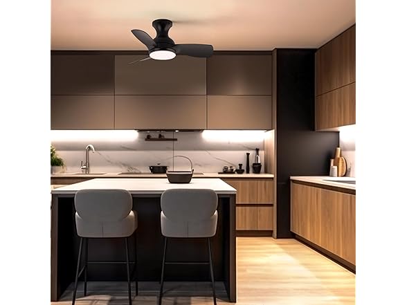 Consciot Ceiling Fan With Lights 30 Inch, Black