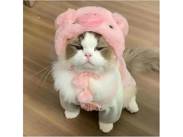 LOKLNEYK Fun cat hat