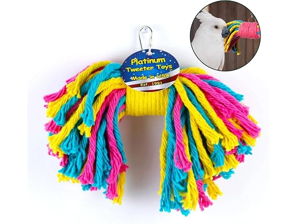 Sweet Feet and Beak Birdie Bow Tie, Large Co