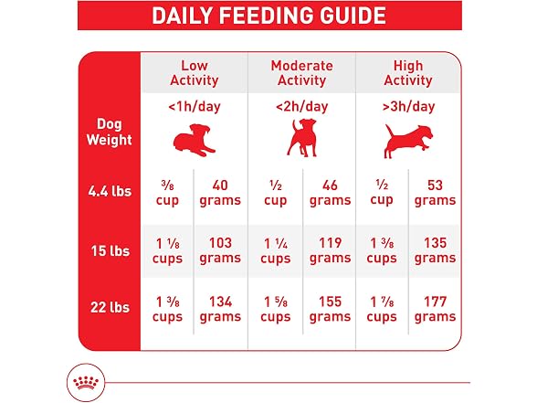 Royal Canin Size Health Nutrition Small Dog