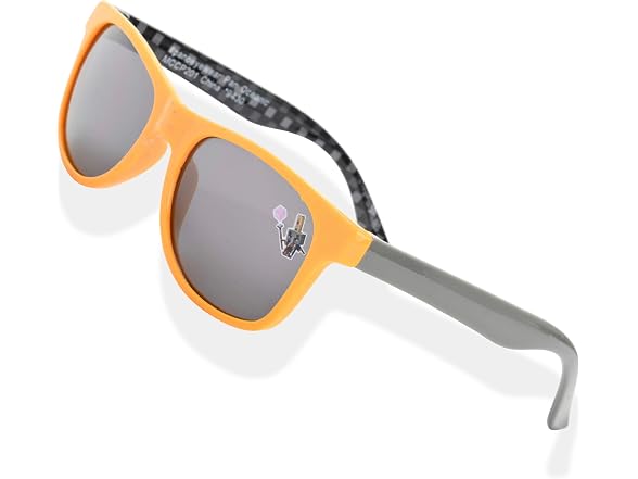 Minecraft Kids Sunglasses w-Case