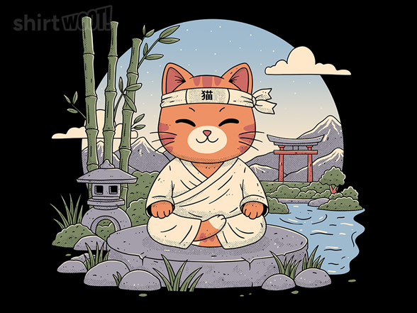 Meditating Cat