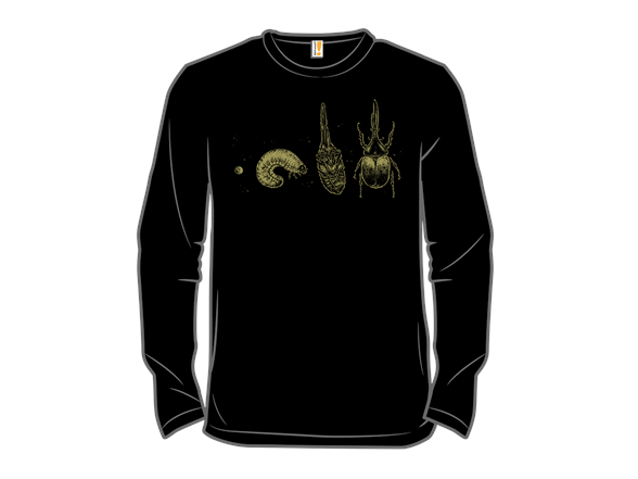 Beetle Life Cycle