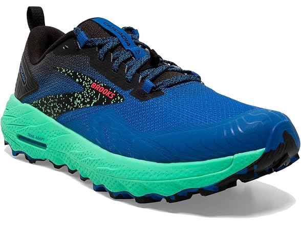 Brooks Cascadia 17 Men's Shoes