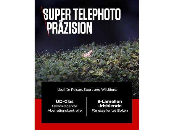 Canon RF 70-200mm F4L is USM Lens | Cons