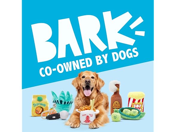 BarkBox Chewz Ballz Dog Toy - 3-in-1 - Gallery 8