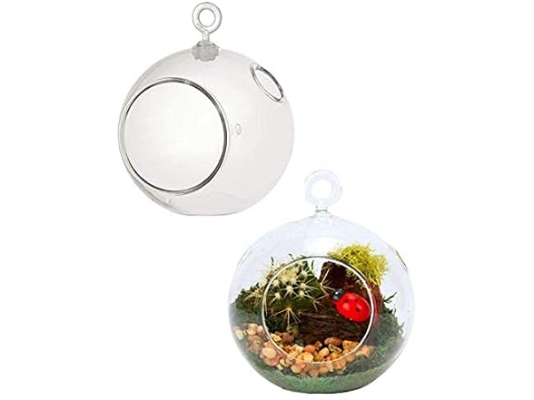 2 Clear Globe Terrarium Plastic 4.5" x 4.5"