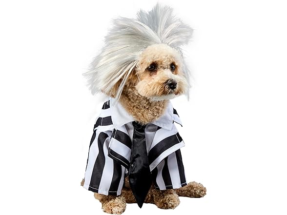 Beetlejuice Pet Costume, Size L or XL