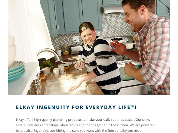 Elkay LR17202 Lustertone Classic Stainless SS Sink