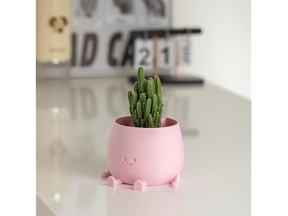 TOPOLA Happy Face Planter