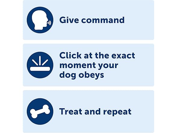 PetSafe Clik-R Training Tool Clicker Trainer