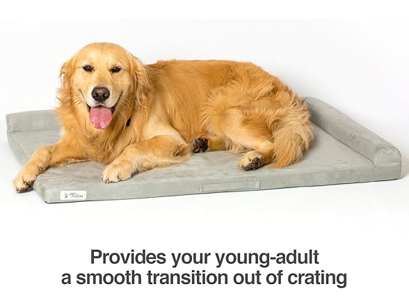 PetFusion PuppyChoice Dog Crate Bed 24 inch