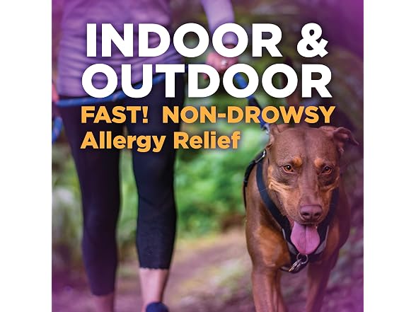 Amazon Basic Care | All Day 180 mg
