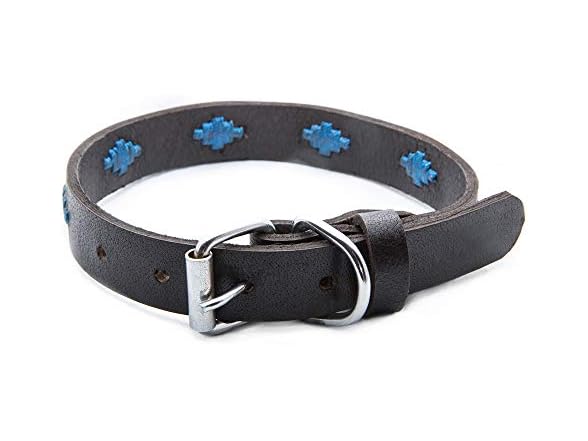 Gaucho Goods Soft Leather Dog Collar Cali