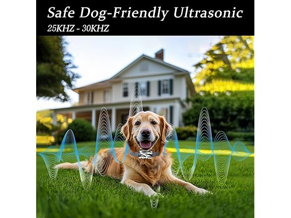 Wireless Dog Fence & Training Collar